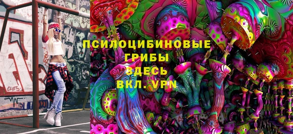 2c-b Алзамай