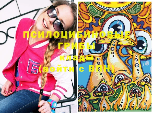 ПСИЛОЦИБИНОВЫЕ ГРИБЫ Алексеевка