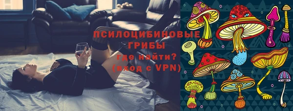 прущие грибы Семёнов