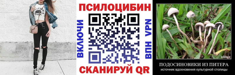 Псилоцибиновые грибы MAGIC MUSHROOMS  Качканар 