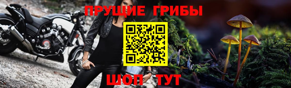 Псилоцибиновые грибы мицелий Качканар